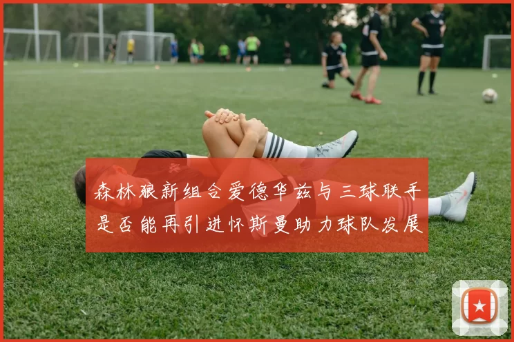 森林狼新组合爱德华兹与三球联手是否能再引进怀斯曼助力球队发展